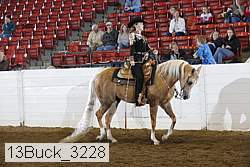 13buck_3228 proof