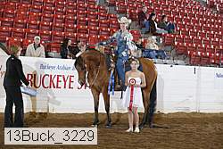 13buck_3229 proof