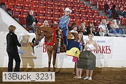 13buck_3231 proof