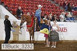13buck_3232 proof