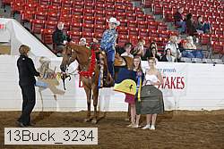 13buck_3234 proof