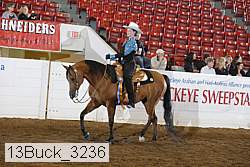 13buck_3236 proof