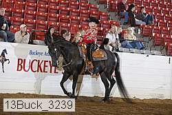 13buck_3239 proof
