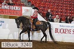 13buck_3240 proof