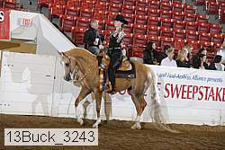 13buck_3243 proof