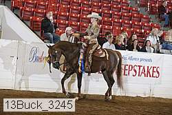 13buck_3245 proof