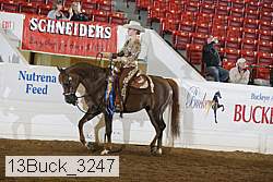 13buck_3247 proof