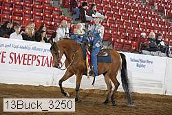 13buck_3250 proof