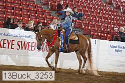 13buck_3253 proof