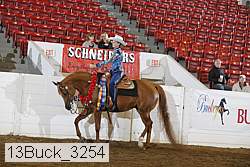 13buck_3254 proof