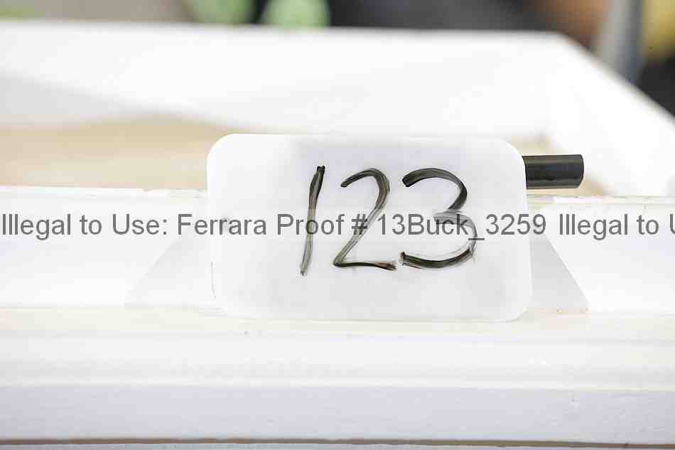Proof 13buck_3259