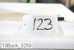 13buck_3259 proof