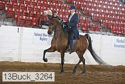 13buck_3264 proof