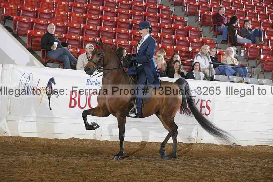 Proof 13buck_3265