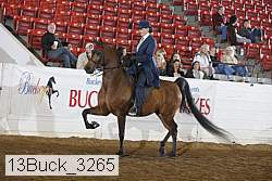 13buck_3265 proof