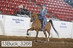 13buck_3266 proof