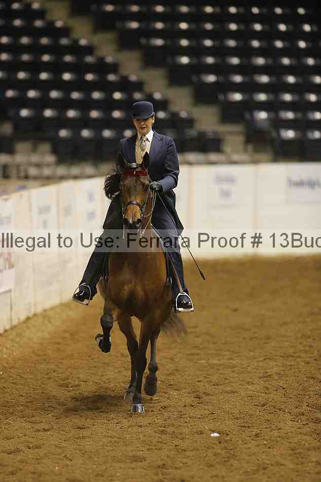 Proof 13buck_3267
