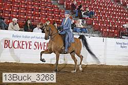 13buck_3268 proof
