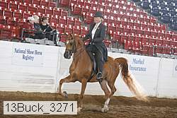 13buck_3271 proof