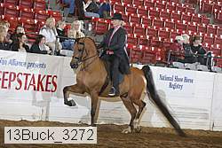 13buck_3272 proof