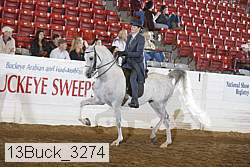 13buck_3274 proof