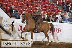13buck_3278 proof