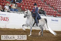 13buck_3281 proof