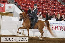 13buck_3285 proof