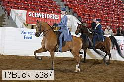 13buck_3287 proof