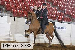 13buck_3288 proof