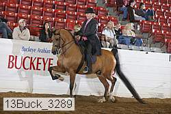 13buck_3289 proof