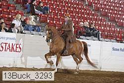 13buck_3293 proof