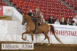 13buck_3294 proof