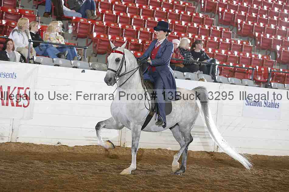 Proof 13buck_3295