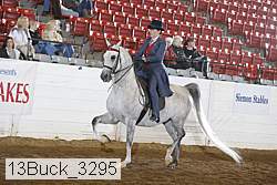 13buck_3295 proof