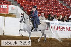 13buck_3296 proof