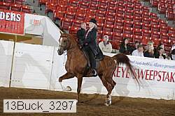 13buck_3297 proof