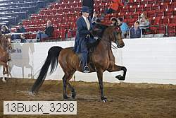 13buck_3298 proof