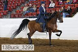 13buck_3299 proof