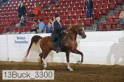 13buck_3300 proof
