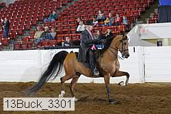 13buck_3301 proof
