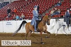 13buck_3302 proof