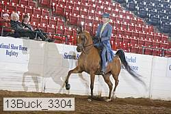13buck_3304 proof