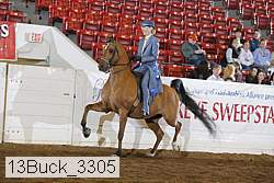 13buck_3305 proof
