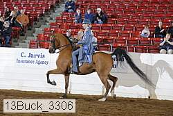 13buck_3306 proof