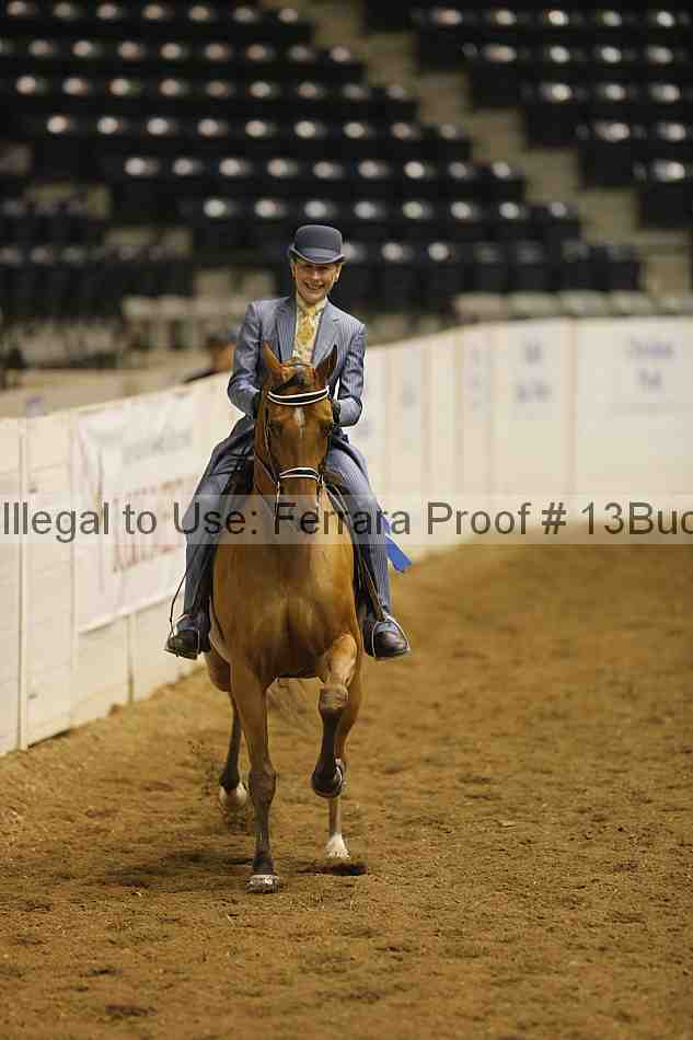 Proof 13buck_3308