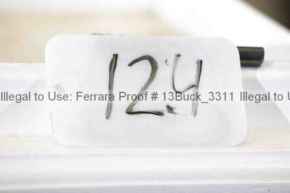 Proof 13buck_3311
