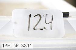 13buck_3311 proof