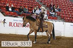 13buck_3313 proof