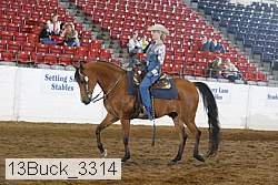 13buck_3314 proof